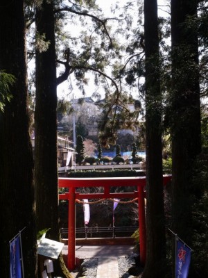 須山浅間神社の写真10