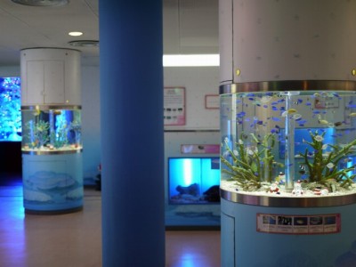 東海大学　海洋科学博物館の写真7