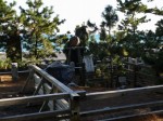 三保の松原・羽衣の松の写真のサムネイル写真8