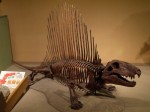 東海大学　自然史博物館（恐竜のはくぶつかん）の写真のサムネイル写真3