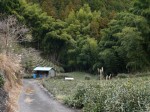 西里温泉（集落）の写真のサムネイル写真15