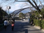 日本平動物園の写真のサムネイル写真19