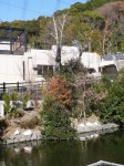日本平動物園の写真のサムネイル写真24