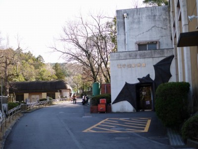 日本平動物園の写真28