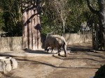 日本平動物園の写真のサムネイル写真28