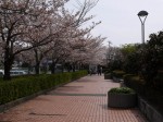 蓮華寺池公園の写真のサムネイル写真6