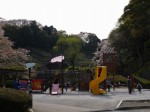 蓮華寺池公園の写真のサムネイル写真25