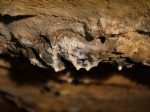 小堀谷鍾乳洞の写真のサムネイル写真13