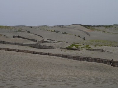 中田島砂丘の写真