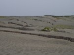 中田島砂丘の写真のサムネイル写真1