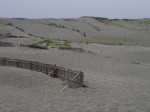 中田島砂丘の写真のサムネイル写真2