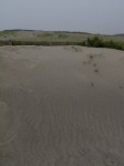 中田島砂丘の写真のサムネイル写真3