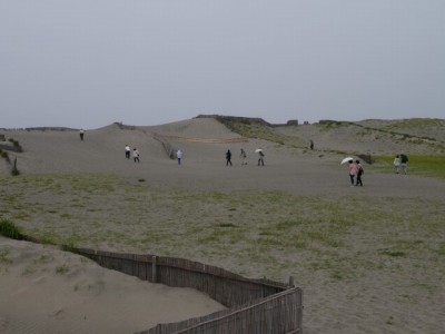 中田島砂丘の写真6