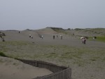 中田島砂丘の写真のサムネイル写真5