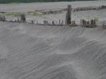 中田島砂丘の写真のサムネイル写真7