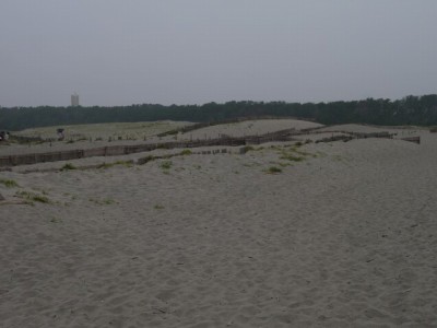 中田島砂丘の写真9