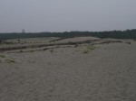 中田島砂丘の写真のサムネイル写真8