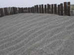 中田島砂丘の写真のサムネイル写真11