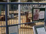 浜松市立動物園の写真のサムネイル写真6