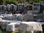 浜松市立動物園の写真のサムネイル写真14