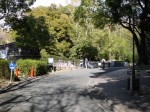 浜松市立動物園の写真のサムネイル写真18