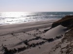 浜岡砂丘の写真のサムネイル写真3