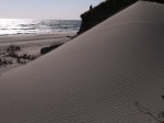 浜岡砂丘の写真のサムネイル写真4