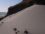 浜岡砂丘の写真のサムネイル写真7