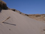 浜岡砂丘の写真のサムネイル写真9