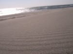浜岡砂丘の写真のサムネイル写真10