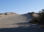 浜岡砂丘の写真のサムネイル写真22