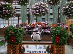 掛川花鳥園の写真のサムネイル写真22