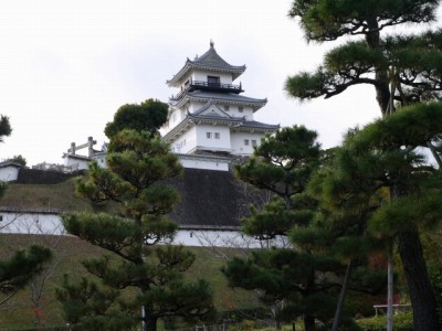 掛川城御殿の写真13
