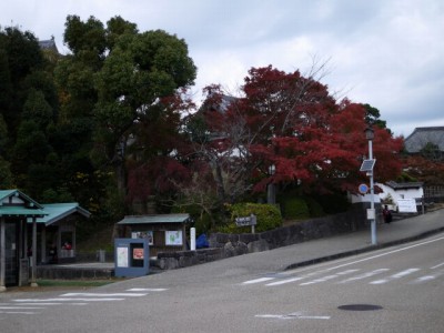 掛川城周辺の写真3