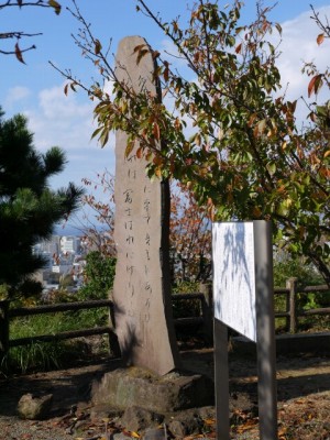 香貫山公園の写真11