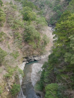 飛龍橋（寸又峡）の写真6