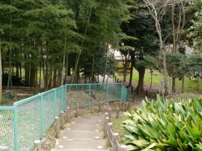 蜆塚遺跡公園の写真4