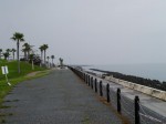 広野海岸公園の写真のサムネイル写真3