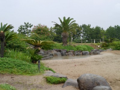 広野海岸公園の写真15