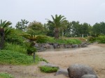 広野海岸公園の写真のサムネイル写真15