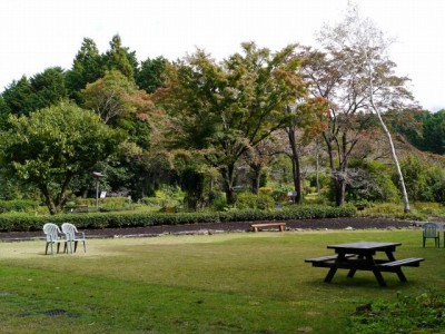 秩父宮記念公園の写真7