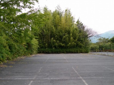 富士竹類植物園の写真