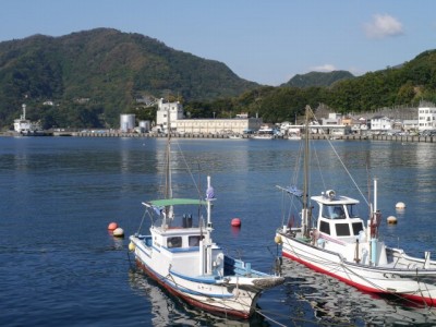 田子漁港の写真3