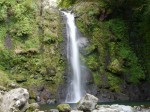 大棚の滝の写真のサムネイル写真5