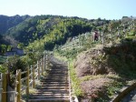 玉露の里 椿園の写真のサムネイル写真4