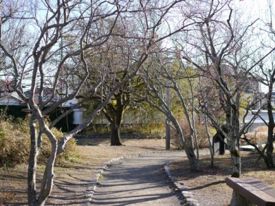 田中城下屋敷の写真7