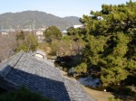 田中城下屋敷の写真のサムネイル写真25
