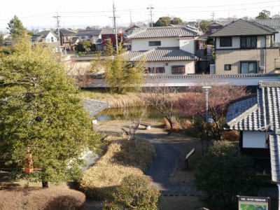 田中城下屋敷の写真26