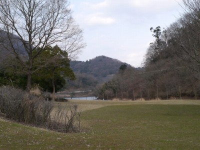 松川湖 ロウバイ広場の写真12