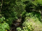 旭滝の写真のサムネイル写真2